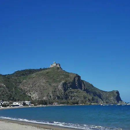 Summer Oliveri-marinello *